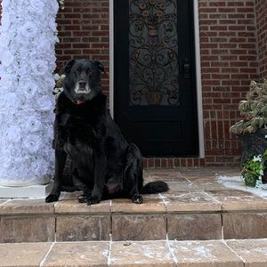 Meet your Posher, Faith